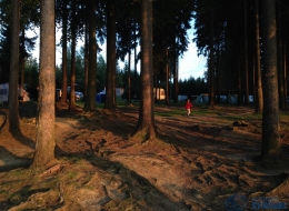 autokemp sykovec 29