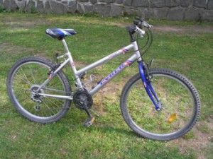 Půjčovna kol Kemp Sykovec MTB 24“ Dámské i pánské
